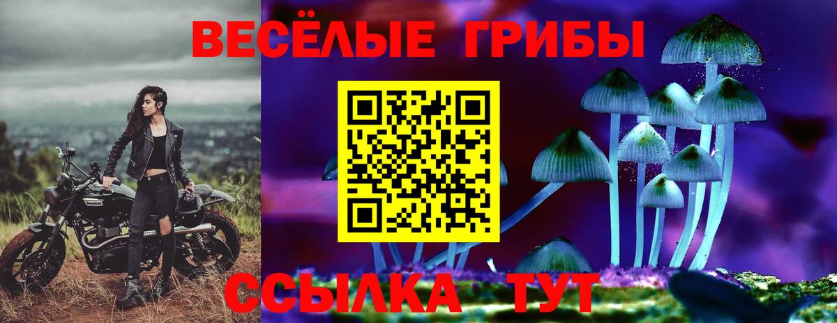 Галлюциногенные грибы Psilocybine cubensis Прокопьевск
