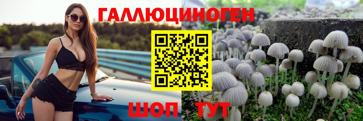 Прокопьевск  Галлюциногенные грибы прущие грибы  Псилоцибиновые грибы мицелий  Вход с VPN 