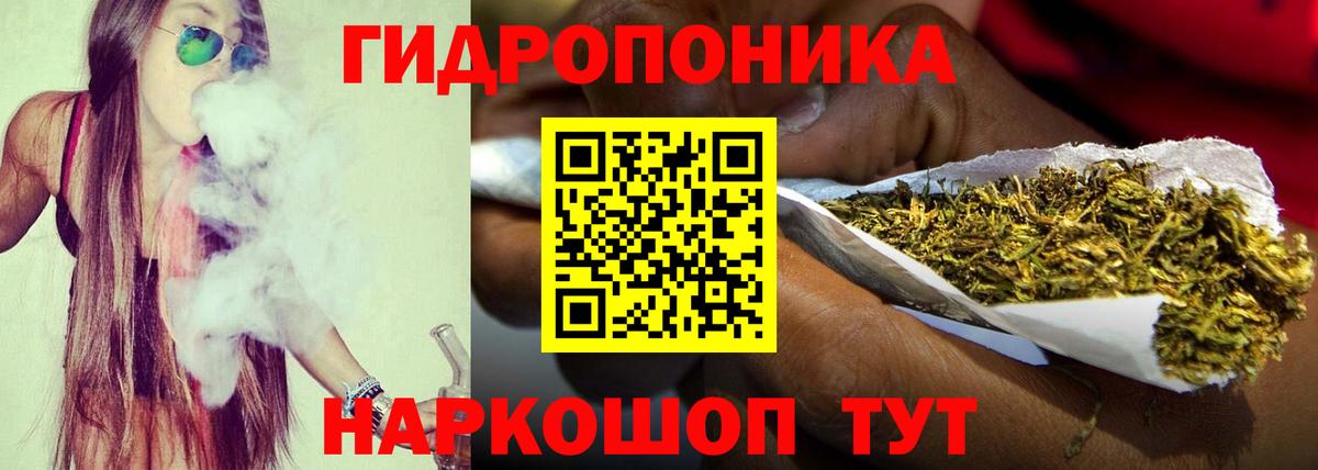 Бошки Шишки AK-47  Бошки марихуана гибрид  Бошки марихуана конопля  Вход с VPN  Прокопьевск 